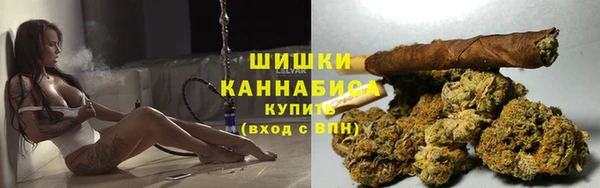 дмт Арсеньев