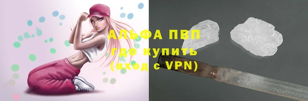 дмт Арсеньев
