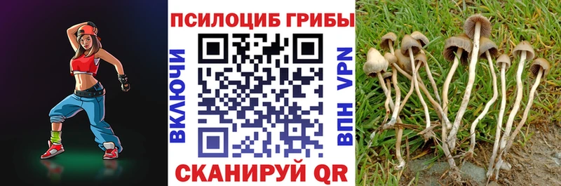 блэк спрут рабочий сайт  Светогорск  Псилоцибиновые грибы ЛСД 